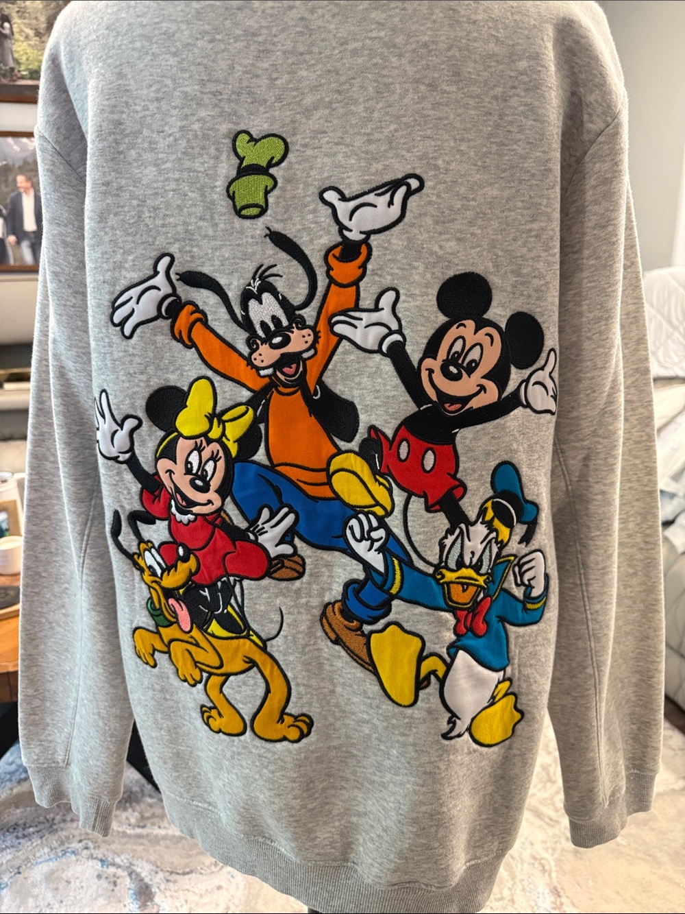 Mickey Mouse and Friends Zip Hoodie for Adults  - Never Worn - Picture 3 of 5